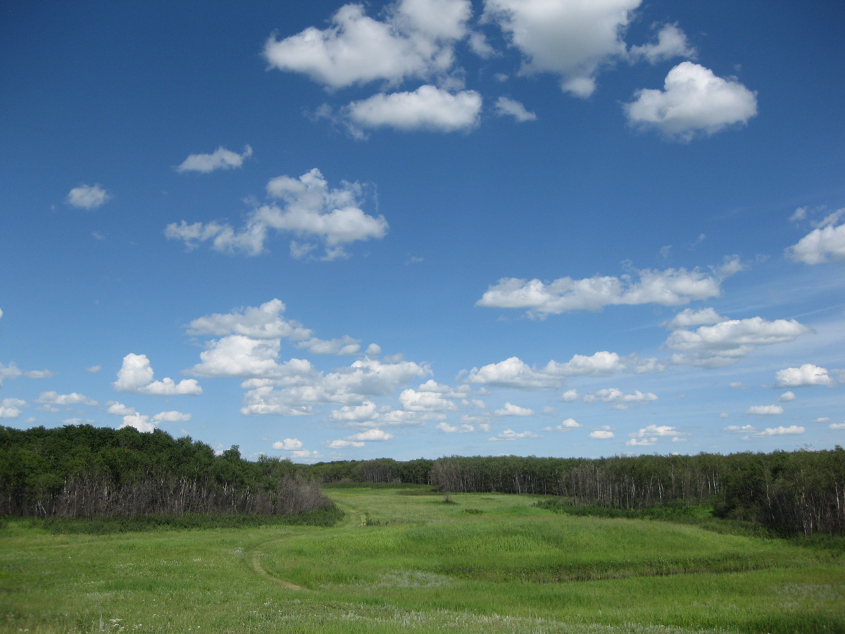 The Great Valley