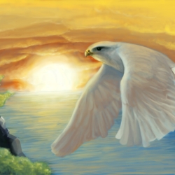 White Hawk - Digital Painting